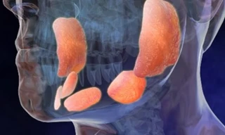 Ảnh minh họa: Internet