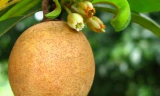 Ảnh minh họa: Internet