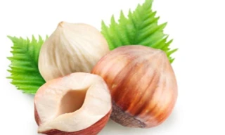 Ảnh minh họa: Internet