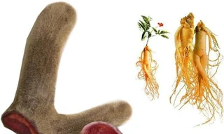 Ảnh minh hoạ: Internet