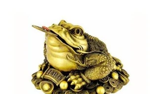 Ảnh minh hoạ: Internet