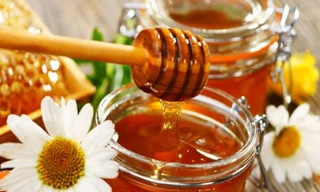 Ảnh minh hoạ: Internet