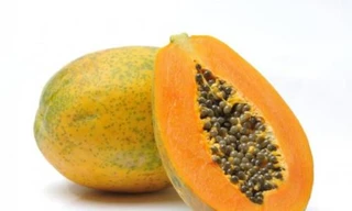 Ảnh minh hoạ: Internet