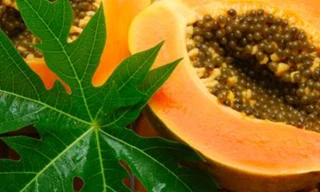 Ảnh minh họa: Internet