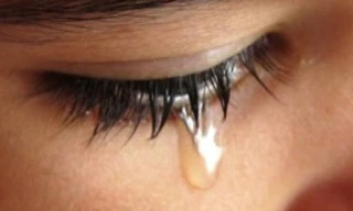 Ảnh minh họa: Internet