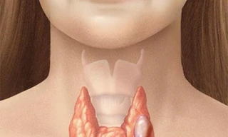 Ảnh minh họa: Internet