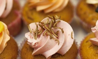 Ảnh minh họa: Internet