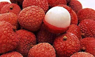 Ảnh minh hoạ: Internet