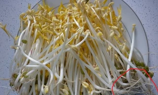 Ảnh minh họa: Internet