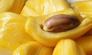 Ảnh minh hoạ: Internet