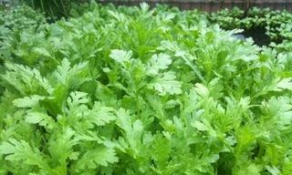 Ảnh minh họa: Internet