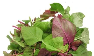 Ảnh minh hoạ: Internet