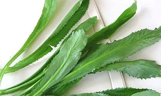 Ảnh minh họa: Interent