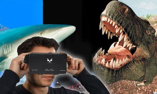 Ảnh minh họa: Internet