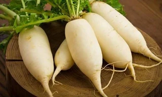 Ảnh minh hoạ: Internet