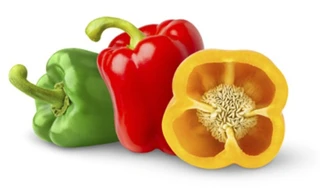 Ảnh minh hoạ: Internet