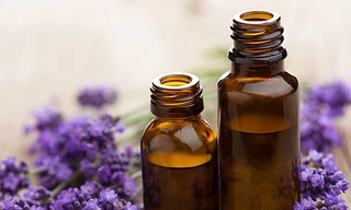 Ảnh minh hoạ: Internet