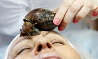 Ảnh minh họa: Internet