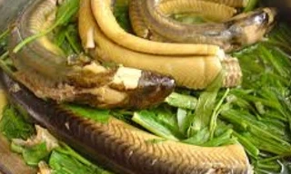 Ảnh minh hoạ: Internet