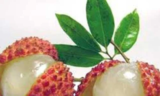 Ảnh minh họa: Internet