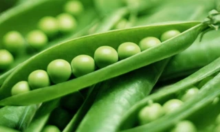 Ảnh minh họa: Internet