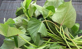 Ảnh minh hoạ: Internet