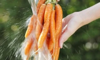 Ảnh minh họa: Internet