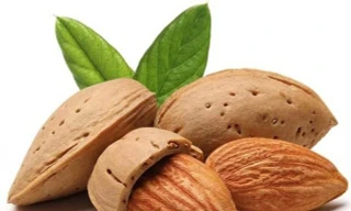 Ảnh minh hoạ: Internet