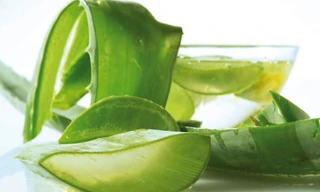 Ảnh minh hoạ: Internet