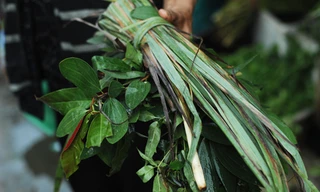 Ảnh minh hoạ: Internet