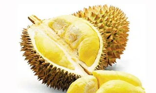 Ảnh minh hoạ: Internet