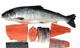 Ảnh minh hoạ: Internet