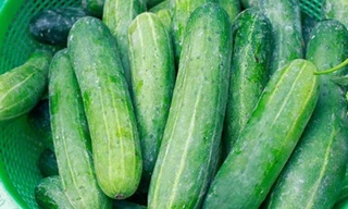 Ảnh minh họa: Internet