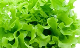 Ảnh minh hoạ: Internet