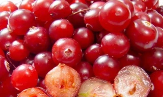 Ảnh minh họa: Internet