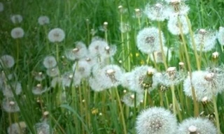 Ảnh minh họa: Internet