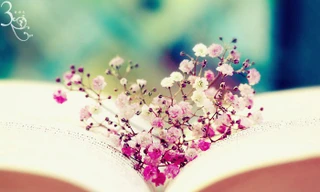 Ảnh minh hoạ: Internet