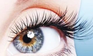 Ảnh minh họa: Internet