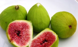 Ảnh minh họa: Internet