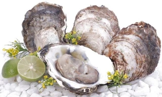 Ảnh minh hoạ: Internet