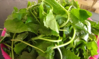 Ảnh minh họa: Internet