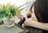 Ảnh minh họa: Internet