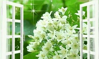 Ảnh minh họa: Internet