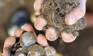 Dò kim loại vườn sau nhà, người đàn ông đào được 1061 đồng bạc cổ trị giá hàng tỷ đồng