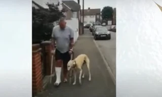 Chi hơn 10 triệu đồng đưa chó đi khám nhưng chuyện đằng sau mới khiến chủ nó “ngỡ ngàng“