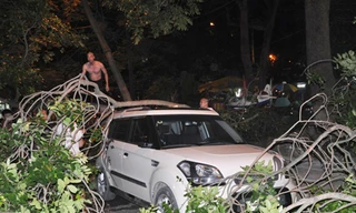 Người dân thu dọn cành cây gãy đổ