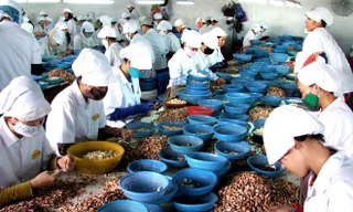 Xuất khẩu nông sản đang là lợi thế của Việt Nam Ảnh: H.Vĩnh