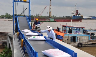 Năm 2020, Việt Nam dự kiến đủ khả năng xuất khẩu khoảng 6,5-6,7 triệu tấn Ảnh: Hòa Hội