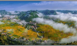 Mùa vàng Bắc Sơn. Ảnh: Doãn Tuấn 