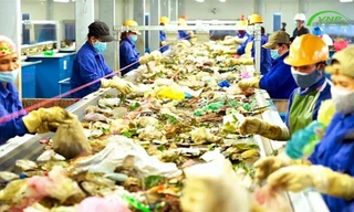 Dây chuyền phân loại xử lý rác được đưa vào vận hành thử 